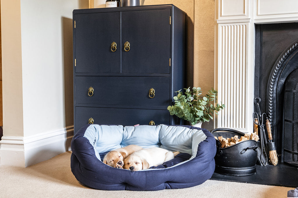 Luxury Basket Dog Beds