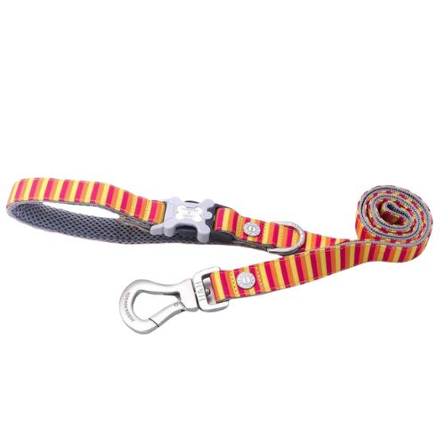 Fruit Salad Dog Lead - 2 IN STOCK
